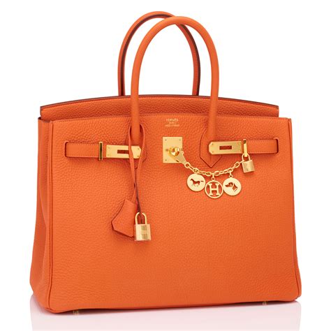 pictures of birkin bags